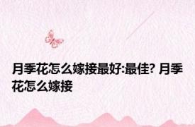 月季花怎么嫁接最好:最佳? 月季花怎么嫁接