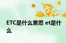 ETC是什么意思 et是什么