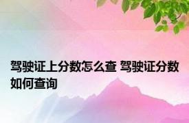 驾驶证上分数怎么查 驾驶证分数如何查询