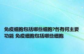 免疫细胞包括哪些细胞?各有何主要功能 免疫细胞包括哪些细胞 