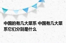 中国的有几大菜系 中国有几大菜系它们分别是什么