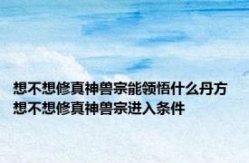 想不想修真神兽宗能领悟什么丹方 想不想修真神兽宗进入条件