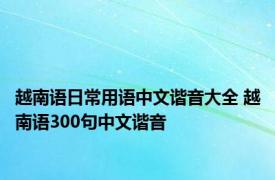 越南语日常用语中文谐音大全 越南语300句中文谐音 