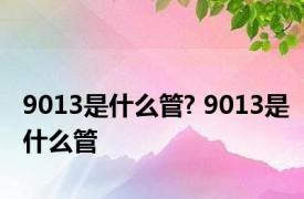 9013是什么管? 9013是什么管