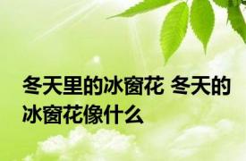 冬天里的冰窗花 冬天的冰窗花像什么