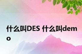 什么叫DES 什么叫demo