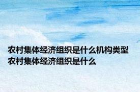 农村集体经济组织是什么机构类型 农村集体经济组织是什么