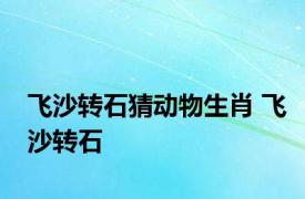 飞沙转石猜动物生肖 飞沙转石 