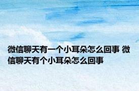 微信聊天有一个小耳朵怎么回事 微信聊天有个小耳朵怎么回事