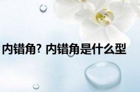 内错角? 内错角是什么型