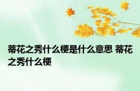 蒂花之秀什么梗是什么意思 蒂花之秀什么梗