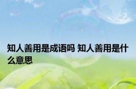 知人善用是成语吗 知人善用是什么意思