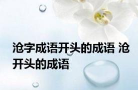 沧字成语开头的成语 沧开头的成语 