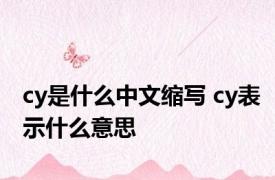 cy是什么中文缩写 cy表示什么意思