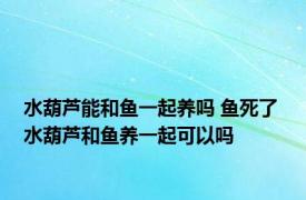 水葫芦能和鱼一起养吗 鱼死了 水葫芦和鱼养一起可以吗