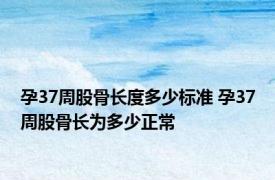 孕37周股骨长度多少标准 孕37周股骨长为多少正常