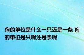 狗的单位是什么一只还是一条 狗的单位是只呢还是条呢