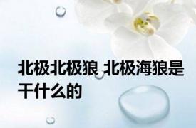 北极北极狼 北极海狼是干什么的