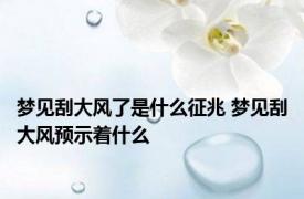 梦见刮大风了是什么征兆 梦见刮大风预示着什么