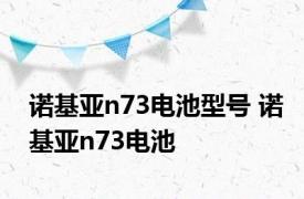 诺基亚n73电池型号 诺基亚n73电池 