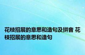 花枝招展的意思和造句及拼音 花枝招展的意思和造句 