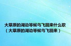 大草原的湖边等候鸟飞回来什么歌（大草原的湖边等候鸟飞回来）