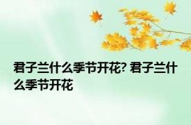 君子兰什么季节开花? 君子兰什么季节开花 