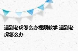 遇到老虎怎么办视频教学 遇到老虎怎么办