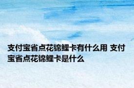 支付宝省点花锦鲤卡有什么用 支付宝省点花锦鲤卡是什么