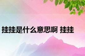 挂挂是什么意思啊 挂挂 