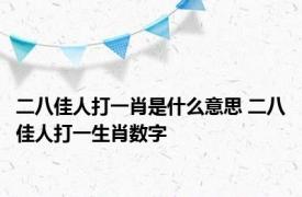 二八佳人打一肖是什么意思 二八佳人打一生肖数字 