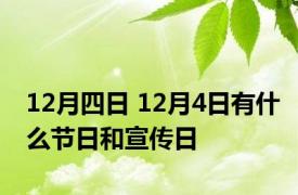 12月四日 12月4日有什么节日和宣传日