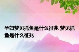 孕妇梦见抓鱼是什么征兆 梦见抓鱼是什么征兆