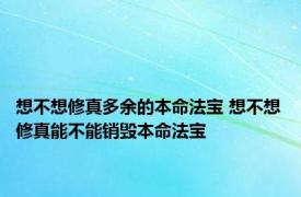 想不想修真多余的本命法宝 想不想修真能不能销毁本命法宝