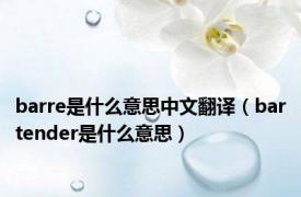 barre是什么意思中文翻译（bartender是什么意思）