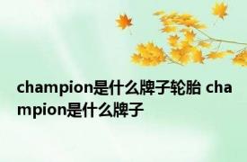 champion是什么牌子轮胎 champion是什么牌子 