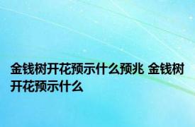 金钱树开花预示什么预兆 金钱树开花预示什么