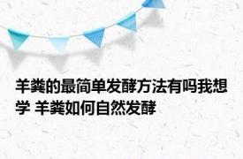 羊粪的最简单发酵方法有吗我想学 羊粪如何自然发酵