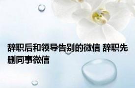 辞职后和领导告别的微信 辞职先删同事微信 