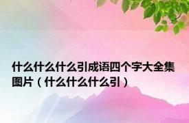 什么什么什么引成语四个字大全集图片（什么什么什么引）