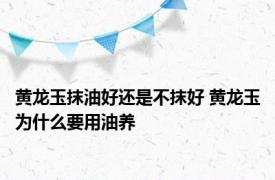 黄龙玉抹油好还是不抹好 黄龙玉为什么要用油养