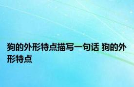 狗的外形特点描写一句话 狗的外形特点 