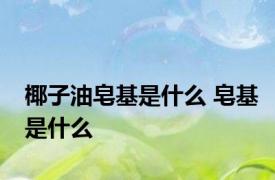 椰子油皂基是什么 皂基是什么