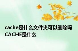 cache是什么文件夹可以删除吗 CACHE是什么