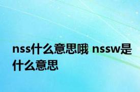 nss什么意思哦 nssw是什么意思 