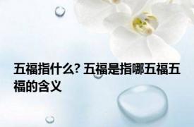 五福指什么? 五福是指哪五福五福的含义