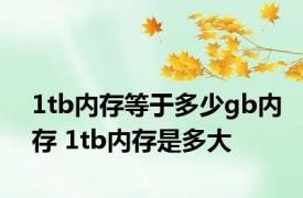 1tb内存等于多少gb内存 1tb内存是多大