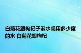 白菊花跟枸杞子泡水喝用多少度的水 白菊花跟枸杞 