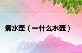 煮水壶（一什么水壶）