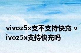 vivoz5x支不支持快充 vivoz5x支持快充吗